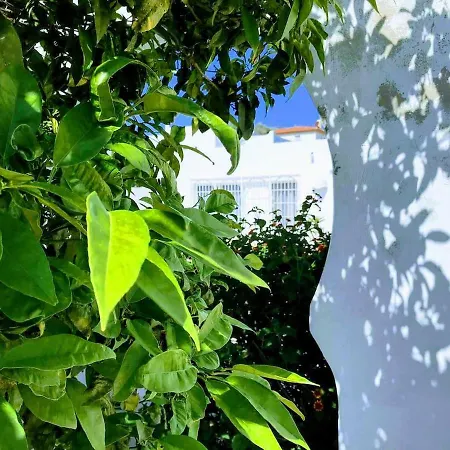 Andalusi * 托雷莫利诺斯